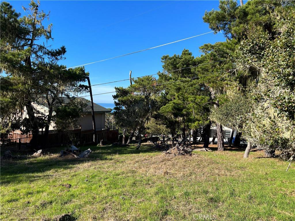 Cambria, CA 93428,0 Cambridge