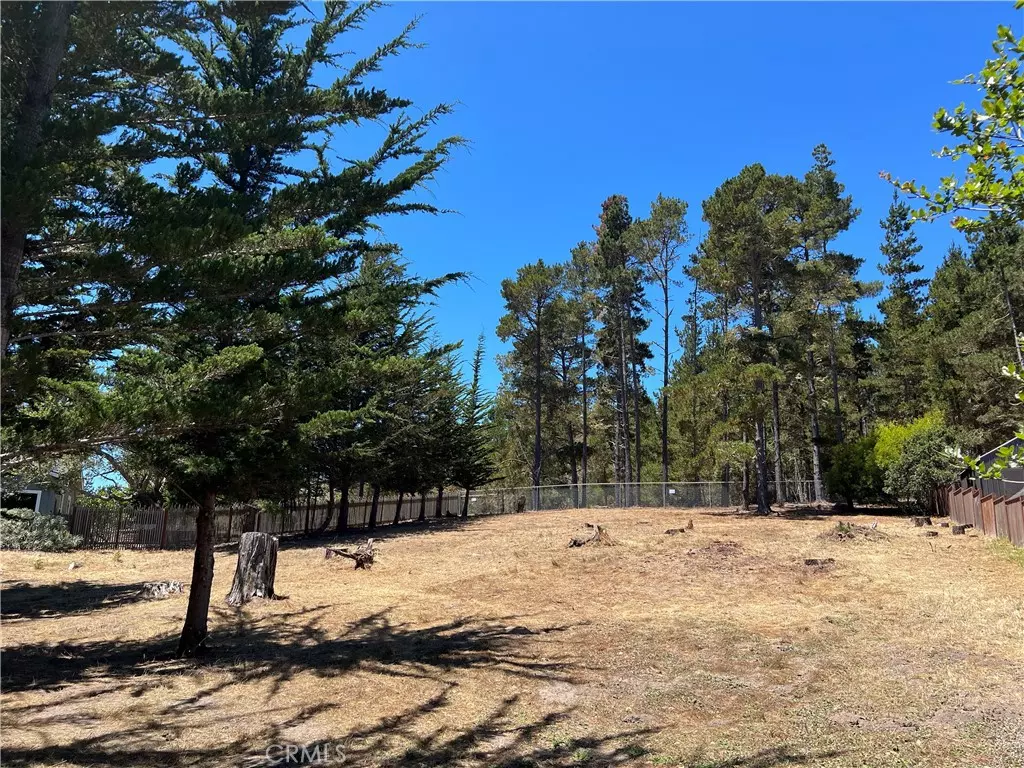 Cambria, CA 93428,0 Warren RD