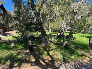 Cambria, CA 93428,0 Astor AVE
