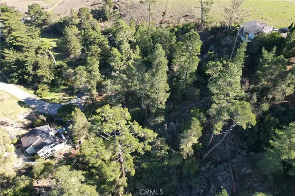 Cambria, CA 93428,0 Gleason ST