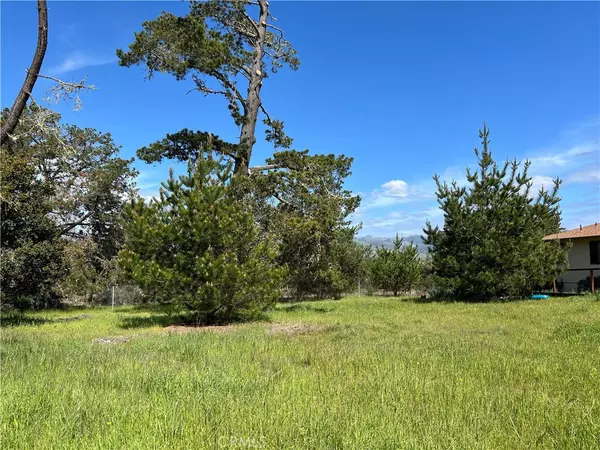 Cambria, CA 93428,2540 Malvern ST