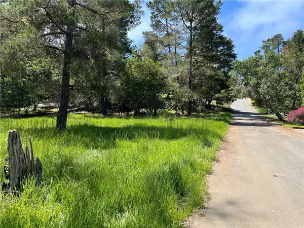 Cambria, CA 93428,0 Kenneth DR