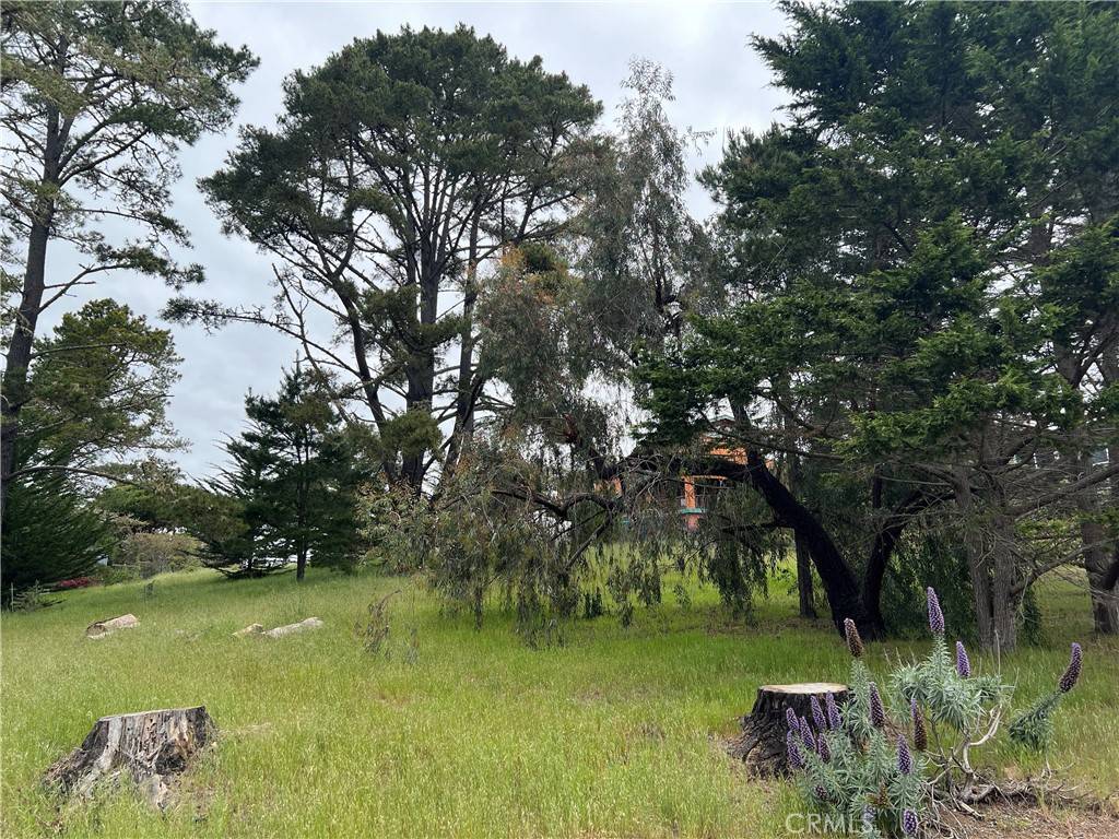 Cambria, CA 93428,0 Bradford RD