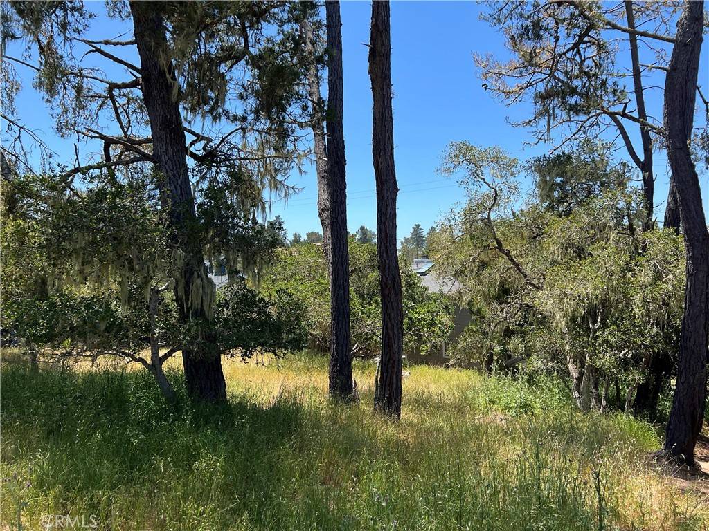 Cambria, CA 93428,0 Alban PL