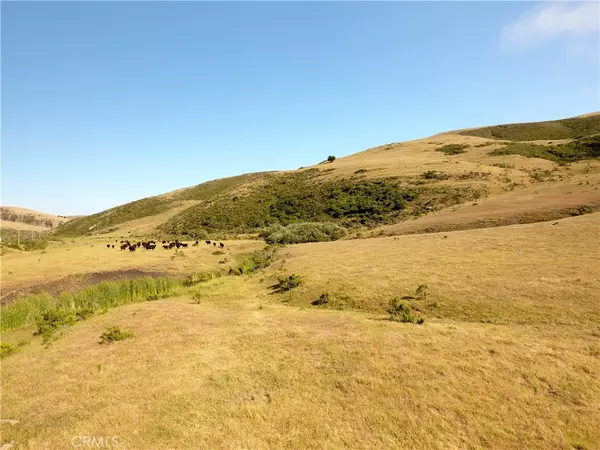 Cayucos, CA 93430,0 Ca-1