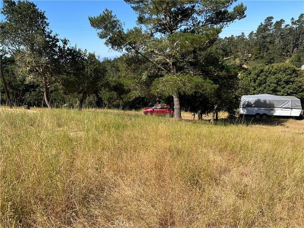 Cambria, CA 93428,0 Pierce AVE