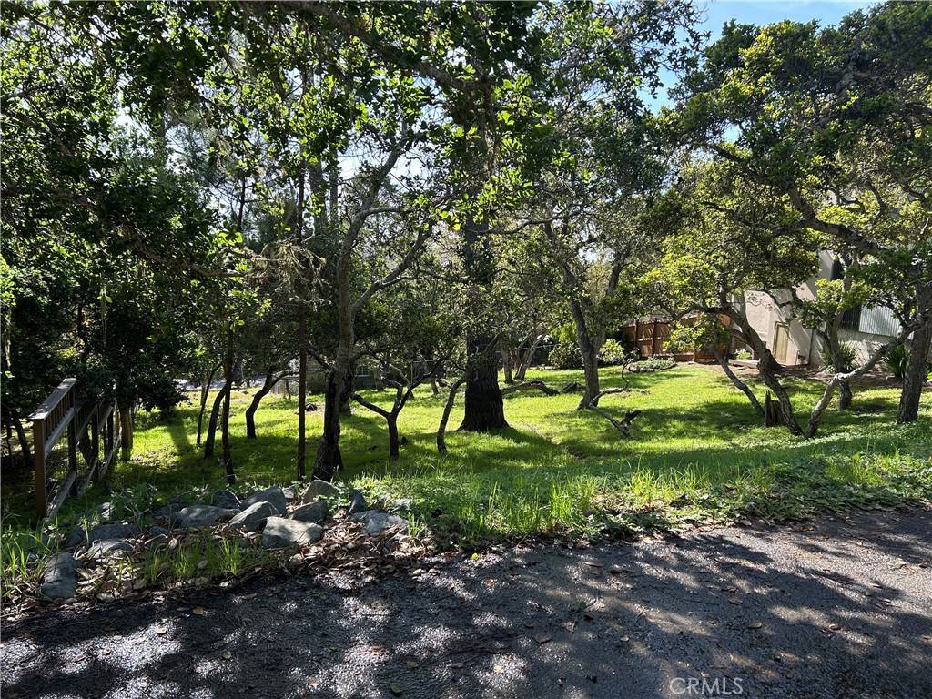 Cambria, CA 93428,0 Benson AVE