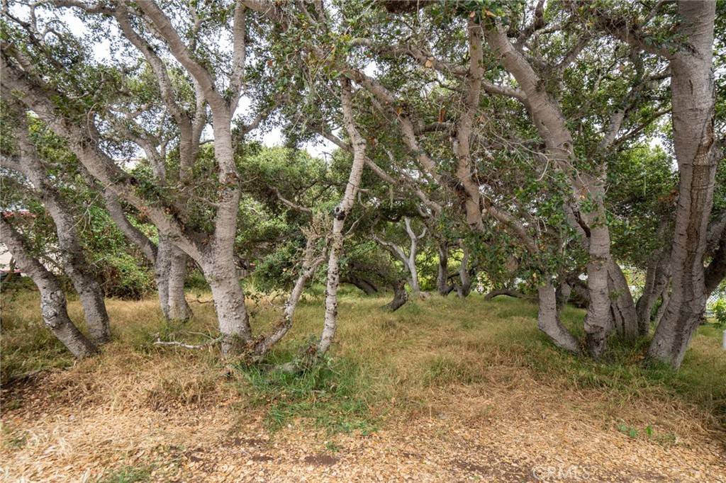 Los Osos, CA 93402,1627 6th ST