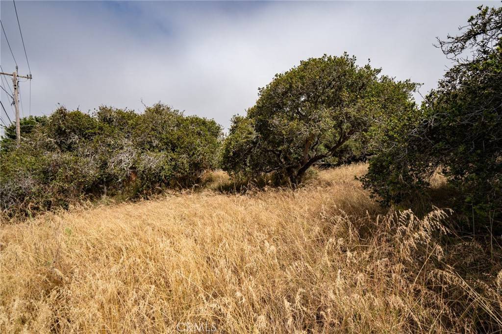 Los Osos, CA 93402,0 Ash ST