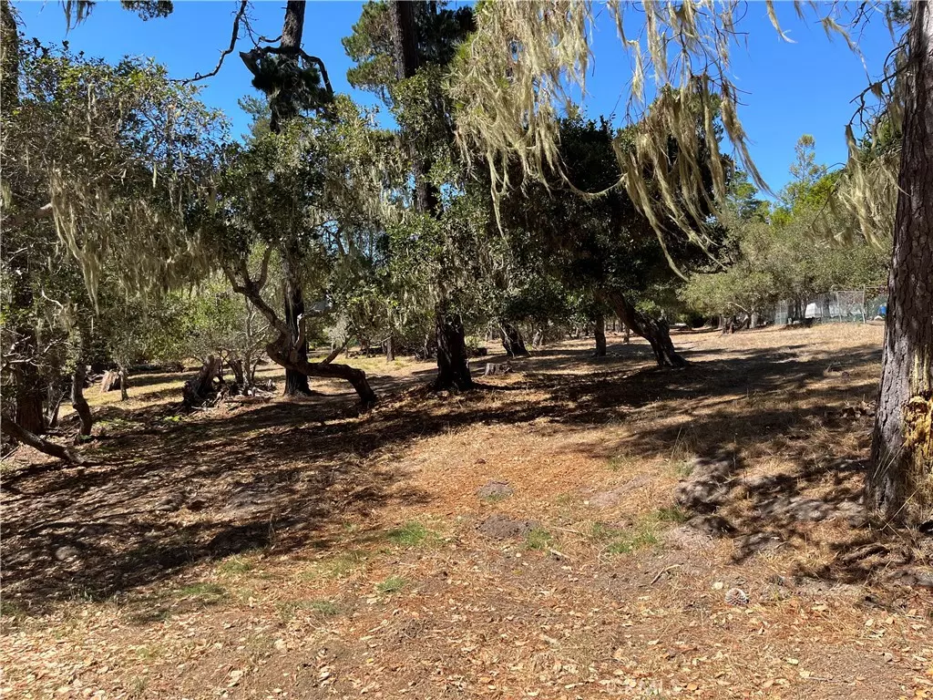 Cambria, CA 93428,34 Kenneth