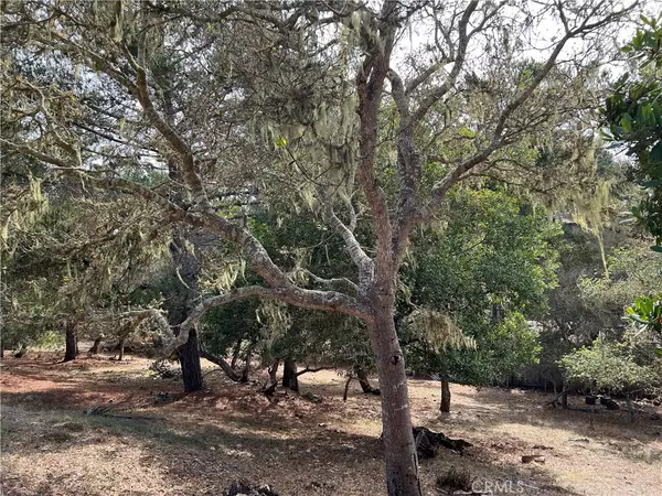 Cambria, CA 93428,0 Tully PL