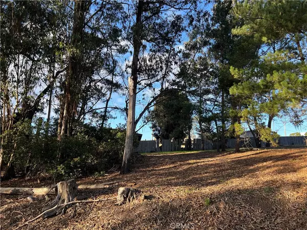 Cambria, CA 93428,1985 Wilton DR