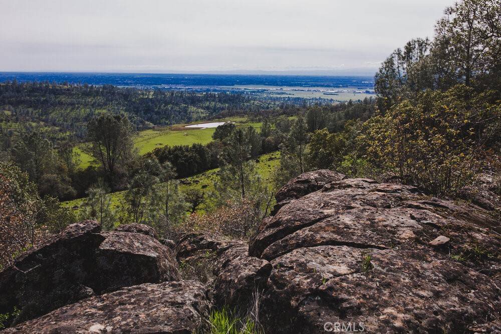 Chico, CA 95973,0 Richardson Springs RD