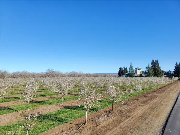 Chico, CA 95928,10000 Fimple