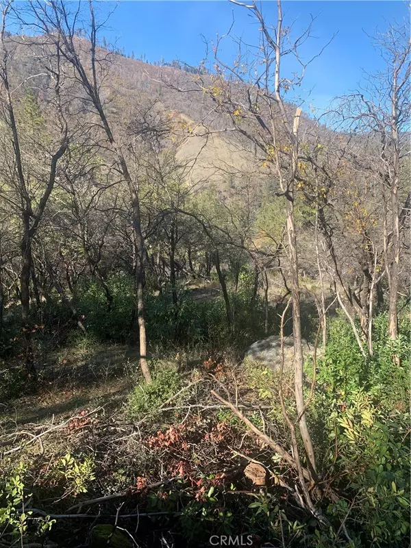 Concow, CA 95965,0 Four Trees Road