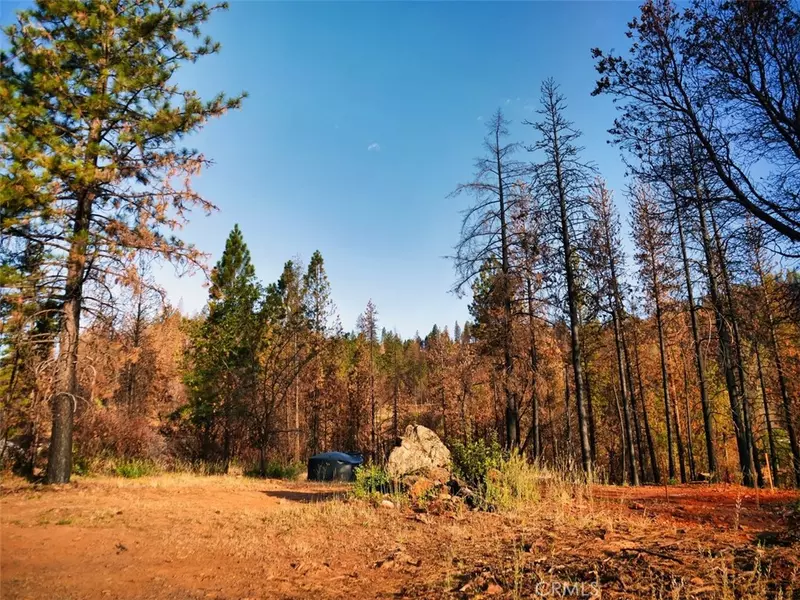 0 Mann AVE, Berry Creek, CA 95916