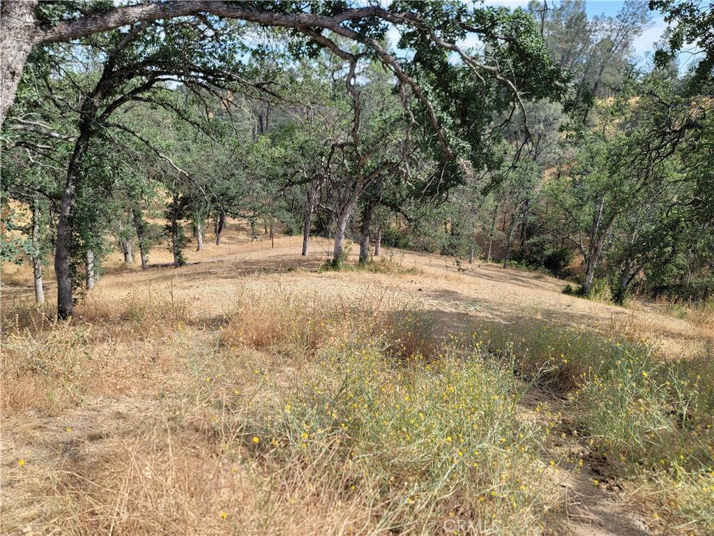 16735 Oakridge RD, Corning, CA 96021