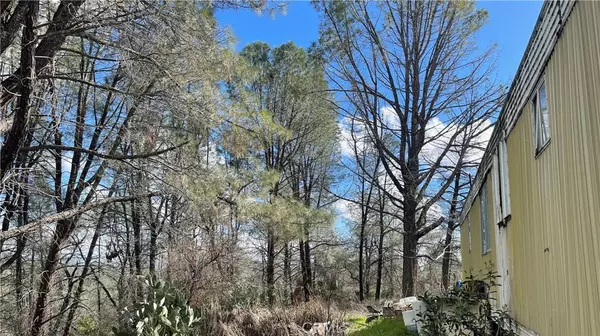Corning, CA 96021,7296 Madrone