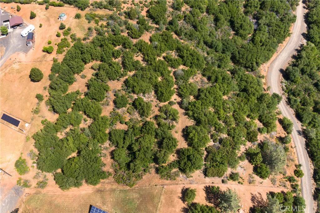 Yankee Hill, CA 95965,0 Doreene Court