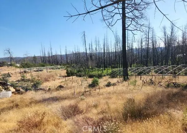 30 Simpson Ranch RD, Berry Creek, CA 95916