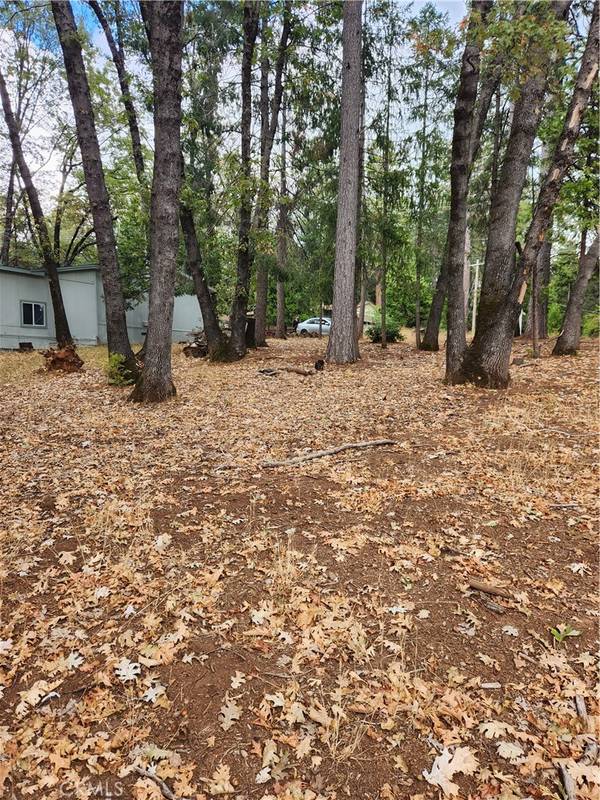 Magalia, CA 95954,0 Carnegie RD