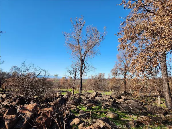 Chico, CA 95973,6556 Cohasset RD