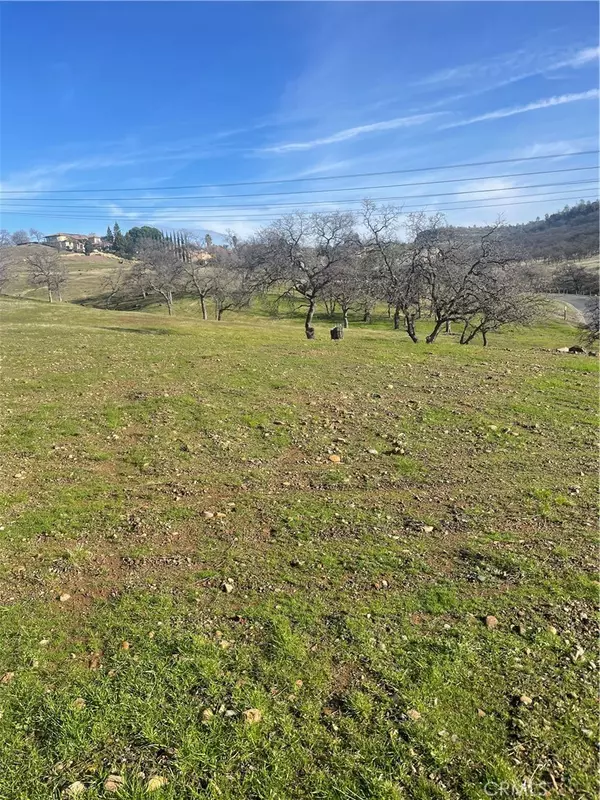 Chico, CA 95928,3460 Shadowtree LN