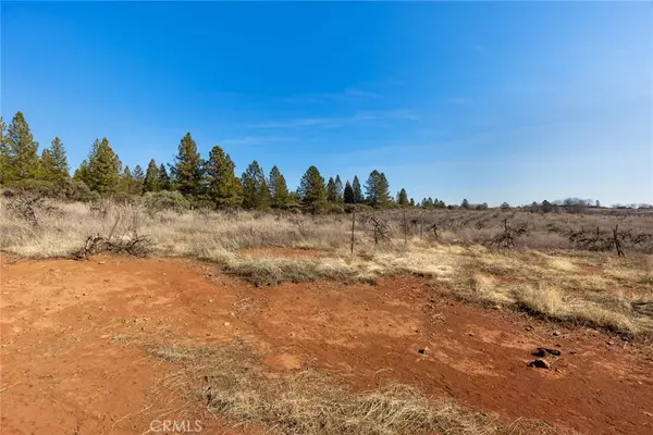 Forest Ranch, CA 95942,0 Doe Mill Road