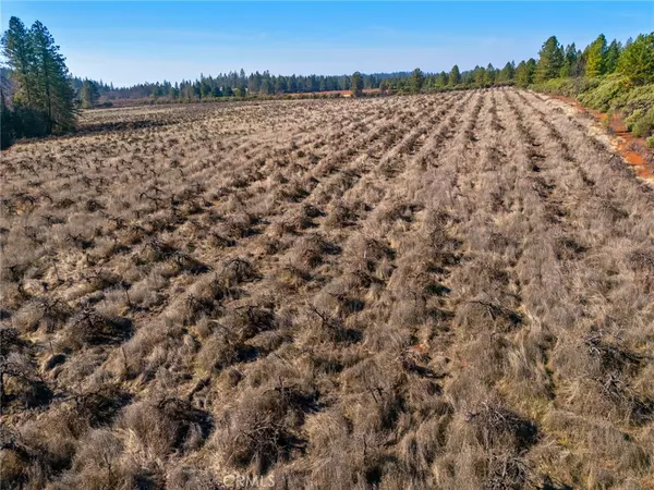 Forest Ranch, CA 95942,0 Doe Mill Road