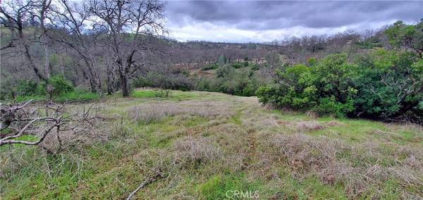 Corning, CA 96021,6960 Cougar DR