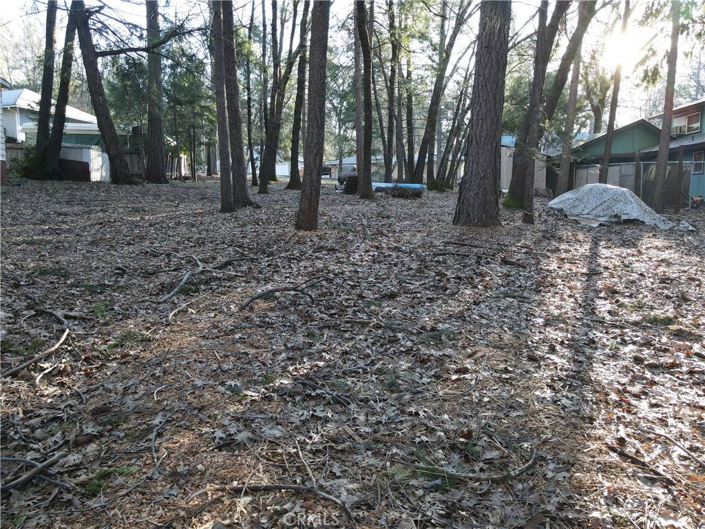 Magalia, CA 95954,14595 Carnegie RD