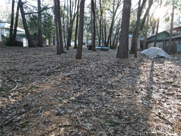 Magalia, CA 95954,14595 Carnegie RD