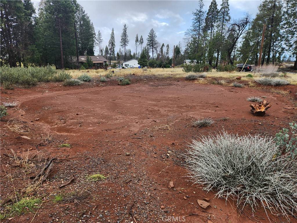 Magalia, CA 95954,13744 W Park DR