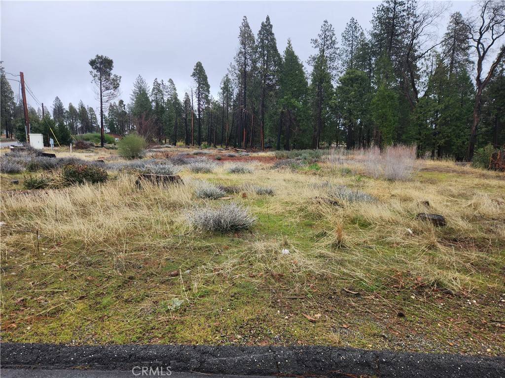 Magalia, CA 95954,13744 W Park DR