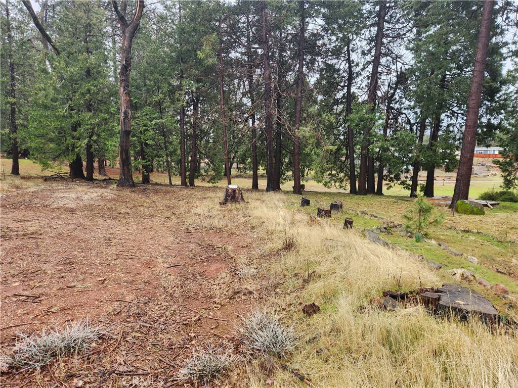 Magalia, CA 95954,6307 Glendale DR