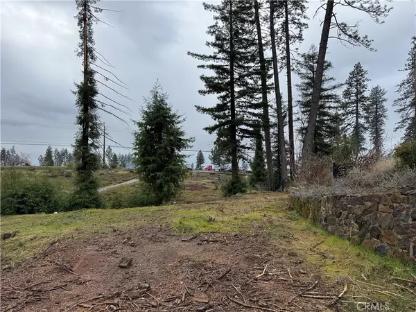 Paradise, CA 95969,1037 Thomasson LN