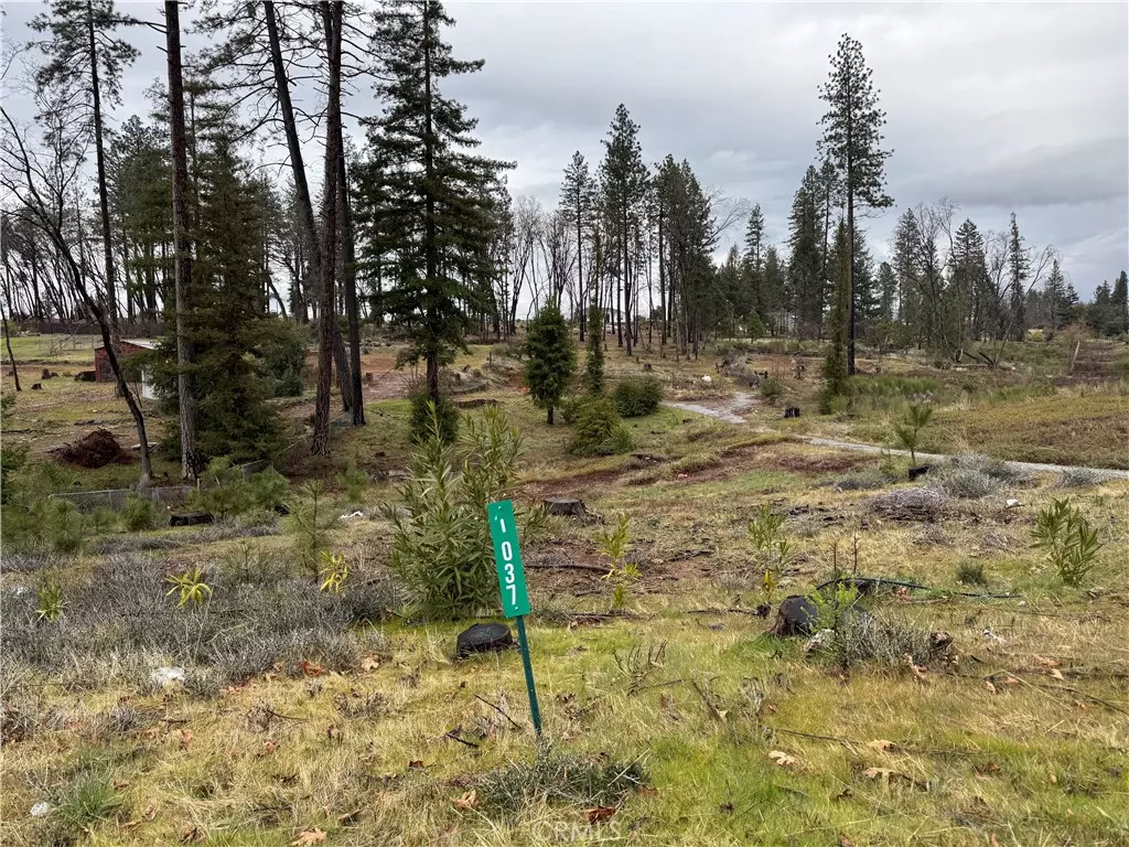 Paradise, CA 95969,1037 Thomasson LN