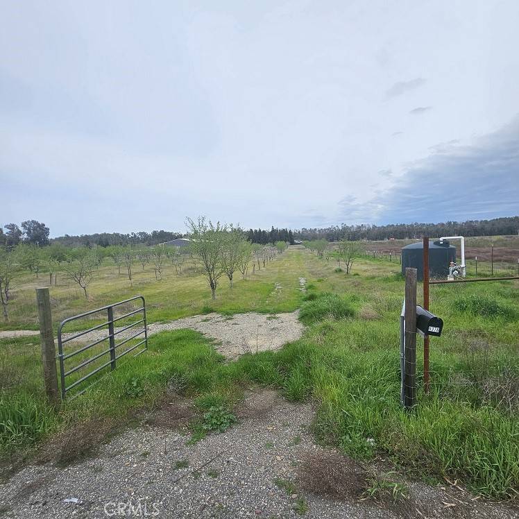 Orland, CA 95963,6378 County Road 11