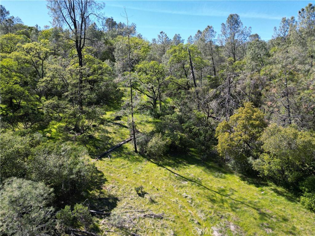 Oroville, CA 95965,0 Hidden Mine Rd