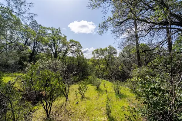 Oroville, CA 95966,0 W Sandra LN