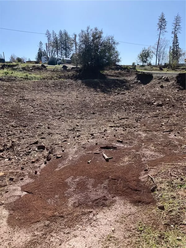 Paradise, CA 95969,1032 Pearson RD