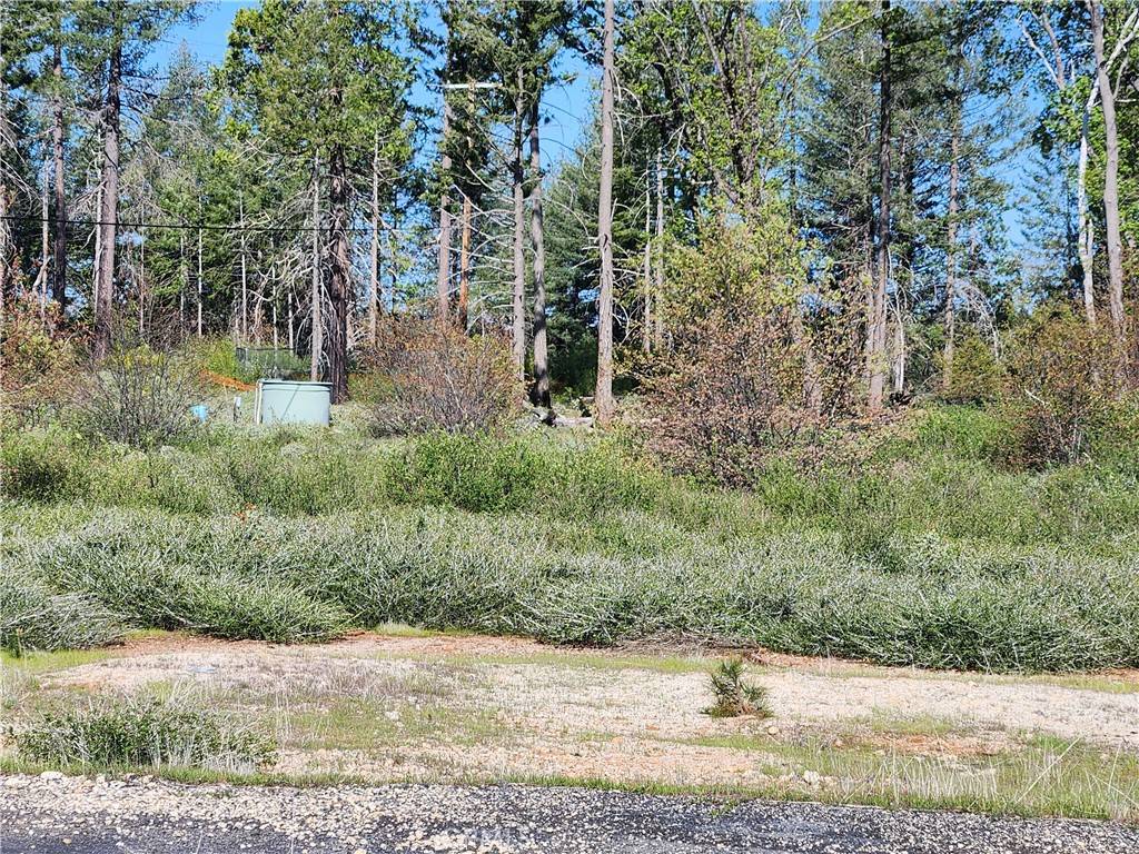 Magalia, CA 95954,14248 Monte Calle LN