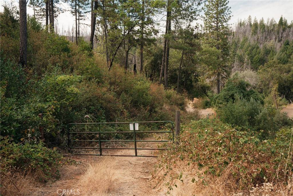 Concow, CA 95965,0 Deadwood RD