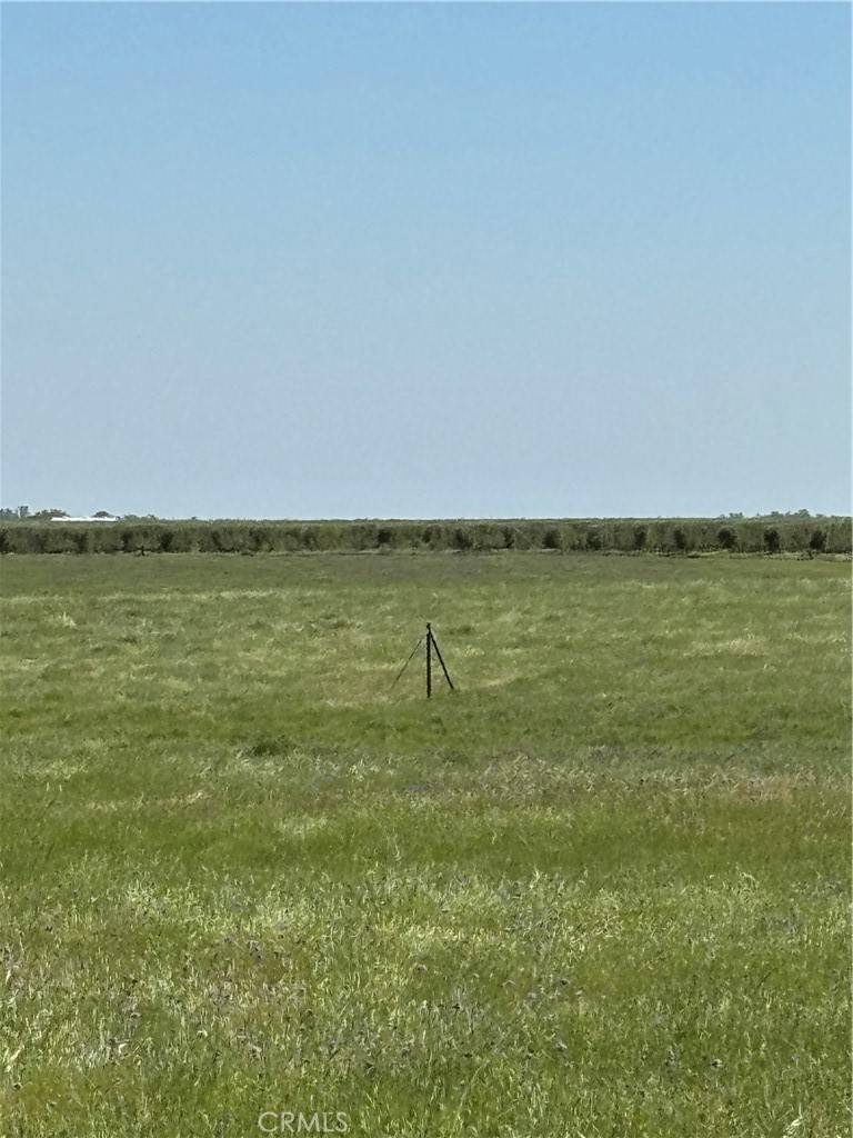 Red Bluff, CA 96080,0 Manor Ln