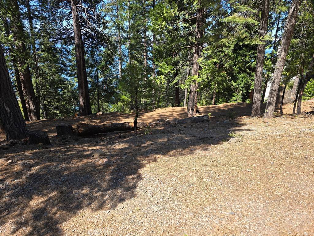 Lake Almanor, CA 96137,777 Lassen View DR