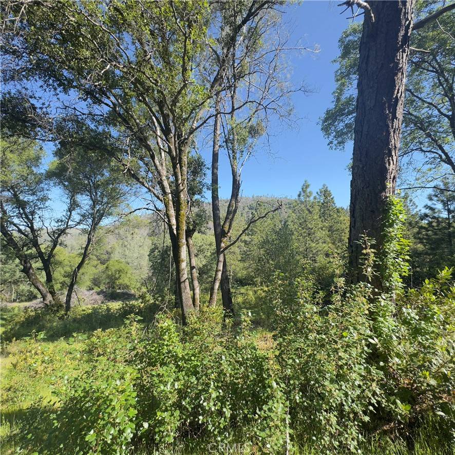 Oroville, CA 95966,204 Empire Point DR