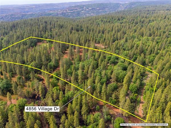 Forest Ranch, CA 95942,4856 Village DR