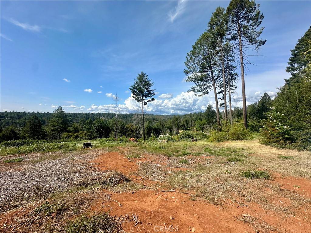 Paradise, CA 95969,1437 Lofty LN