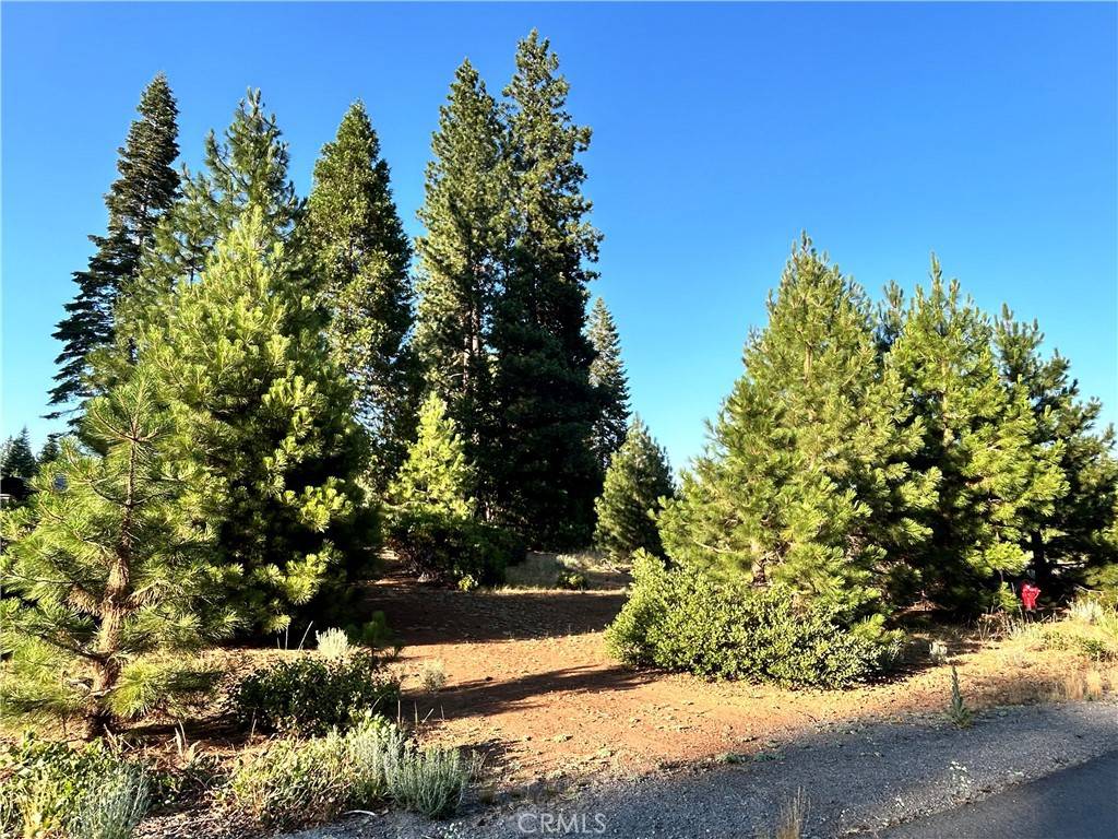 Lake Almanor Peninsula, CA 96137,179 Treetop CIR