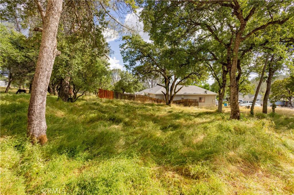 Oroville, CA 95966,1 Celena CT